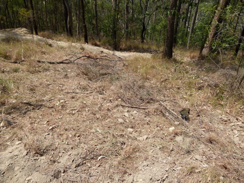 Bad old trail = closed
